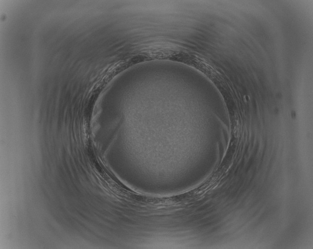 X0000076081108200610061609