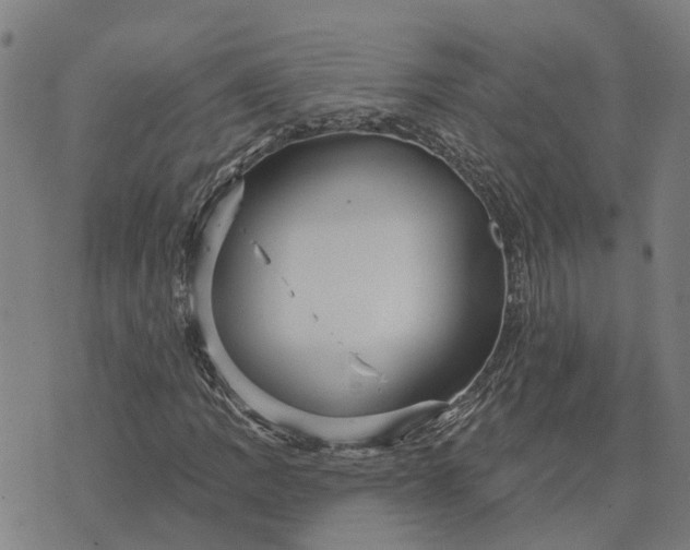 X0000076081109200610061609