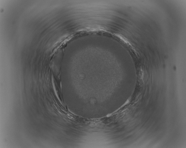 X0000076081110200610061609