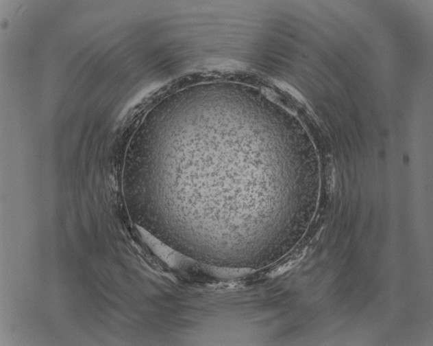 X0000076081112200610061609