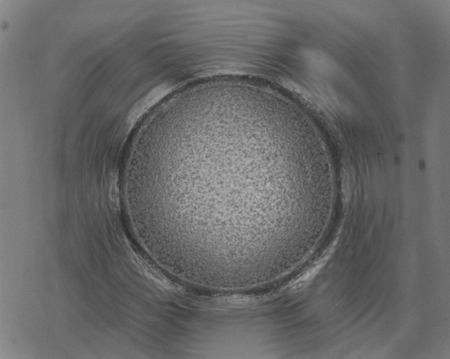 X0000076081113200610061609