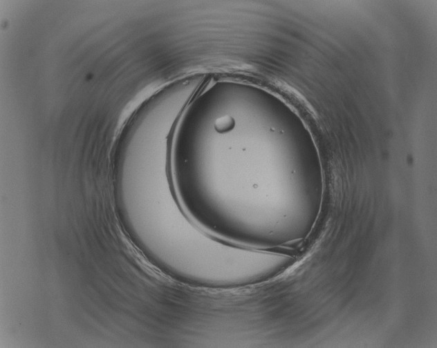 X0000076081114200610061609