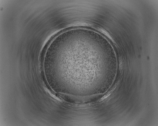 X0000076081116200610061609