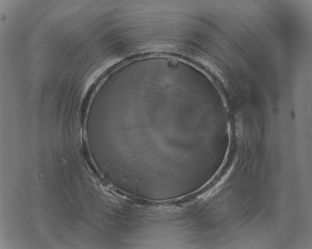 X0000076081117200610061609