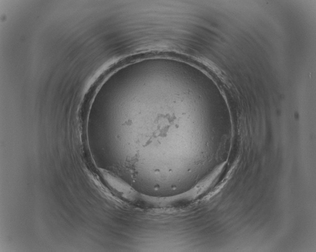 X0000076081118200610061609