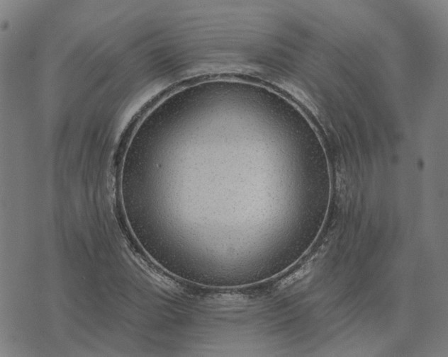 X0000076081119200610061609