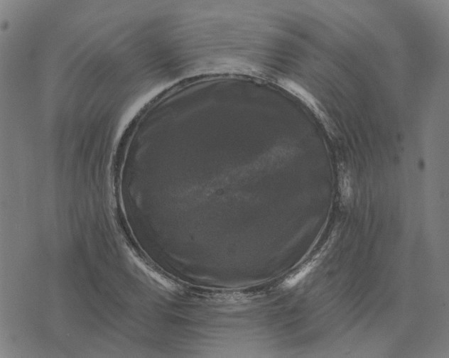 X0000076081120200610061609