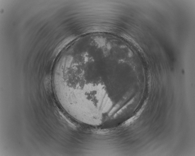 X0000076081121200610061609