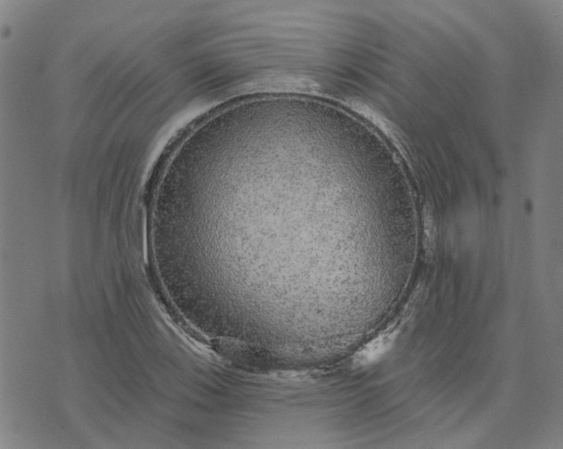 X0000076081123200610061609