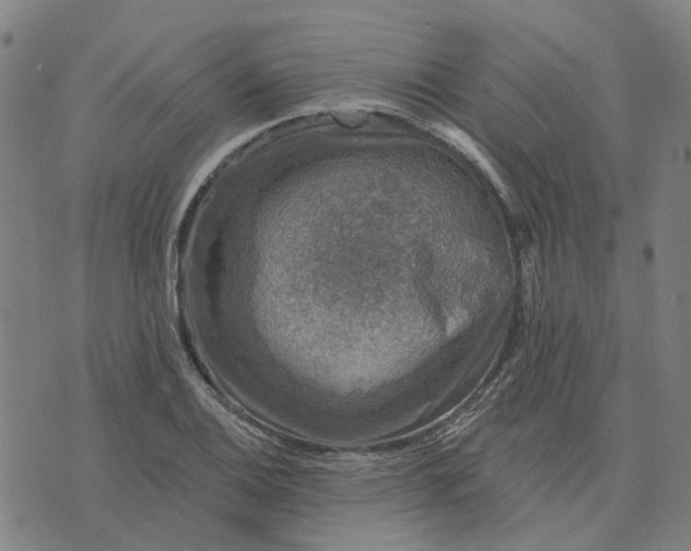 X0000076081124200610061609