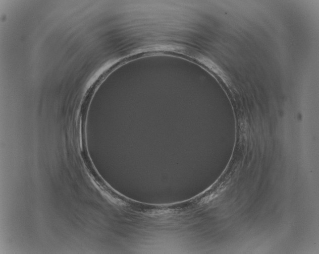 X0000076081127200610061609