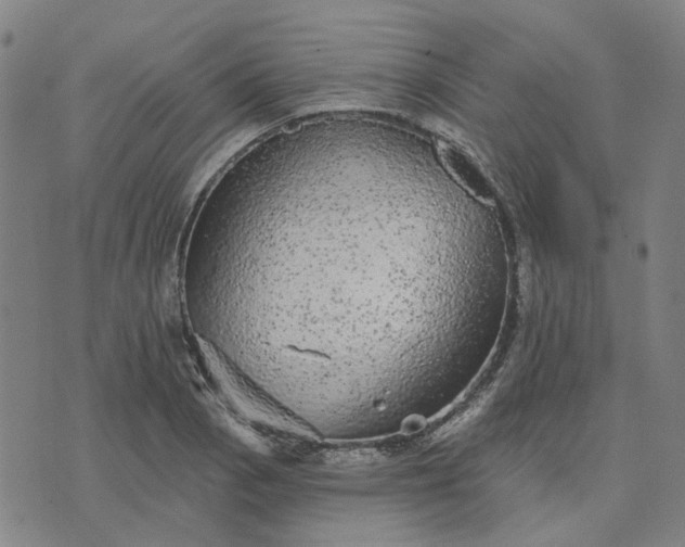 X0000076081129200610061609