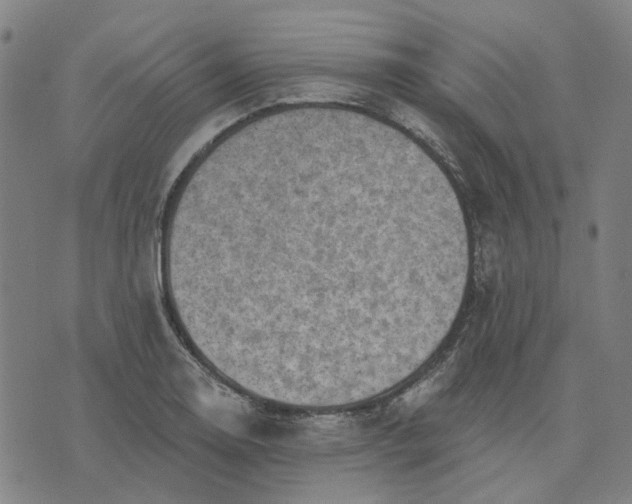 X0000076081130200610061609