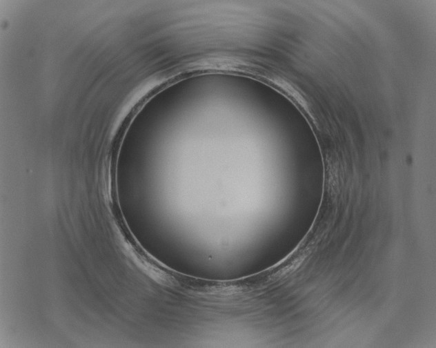 X0000076081131200610061609