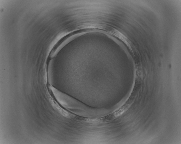 X0000076081132200610061609