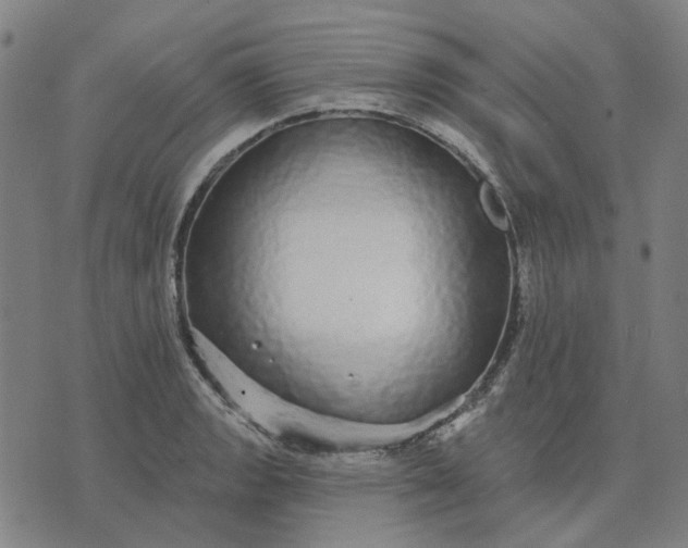 X0000076081133200610061609