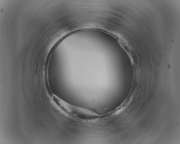 X0000076081134200610061609