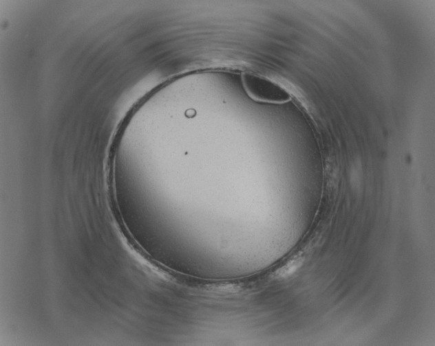 X0000076081135200610061609