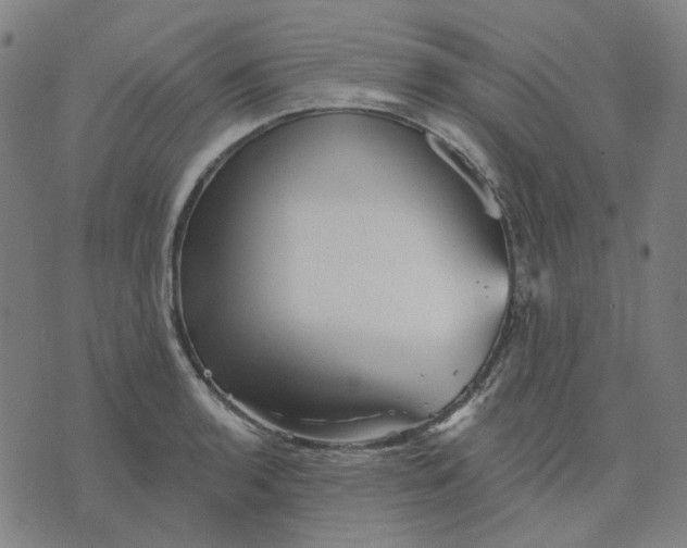 X0000076081136200610061609