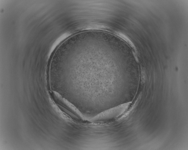 X0000076081138200610061609