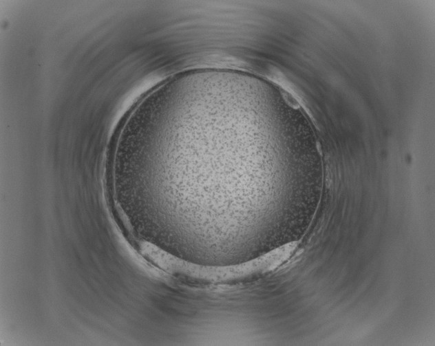 X0000076081139200610061609