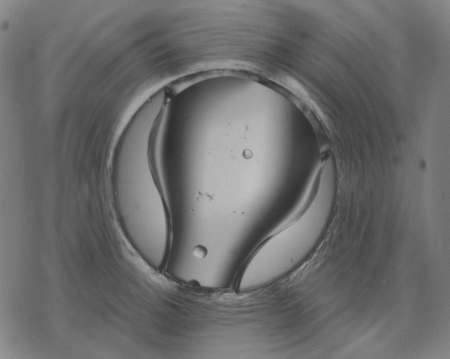 X0000076081140200610061609