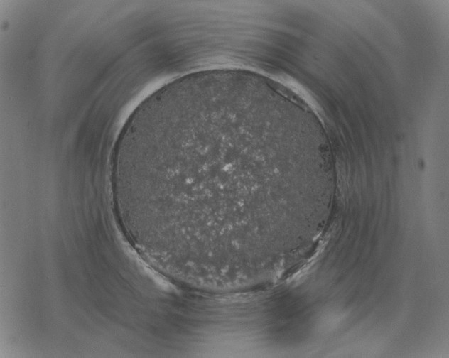 X0000076081142200610061609