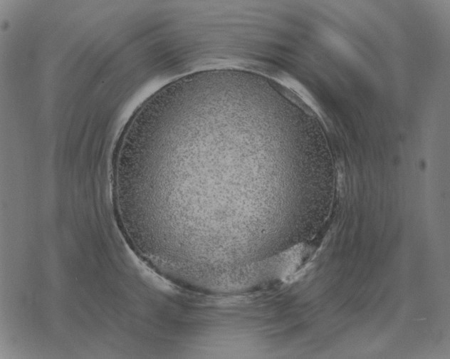 X0000076081143200610061609