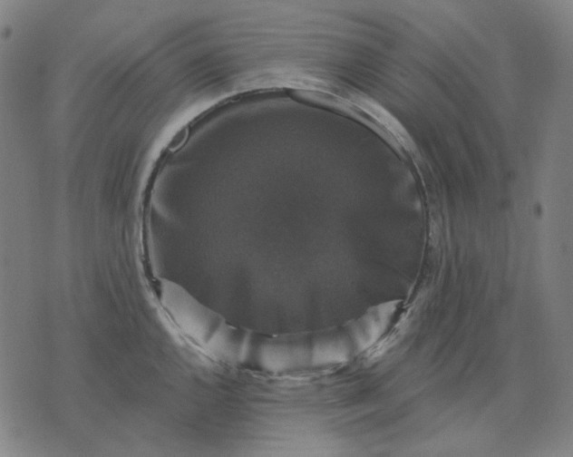 X0000076081144200610061609