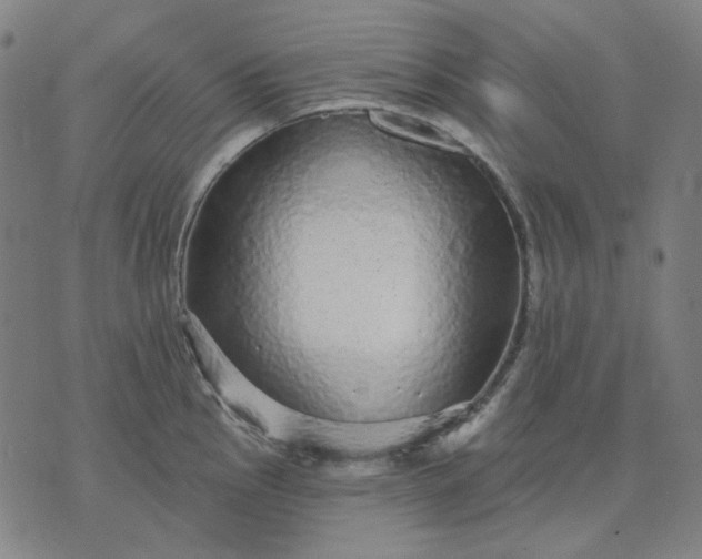 X0000076081145200610061609