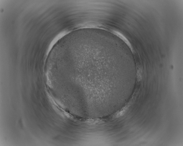 X0000076081146200610061609