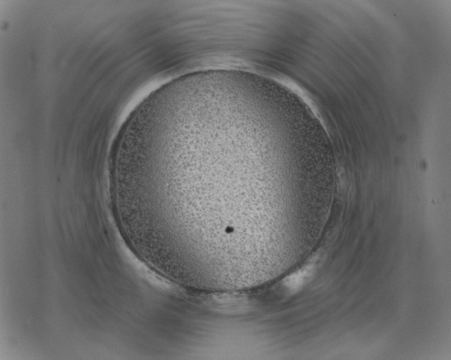 X0000076081147200610061609