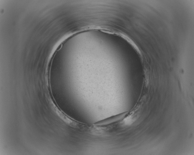 X0000076081148200610061609