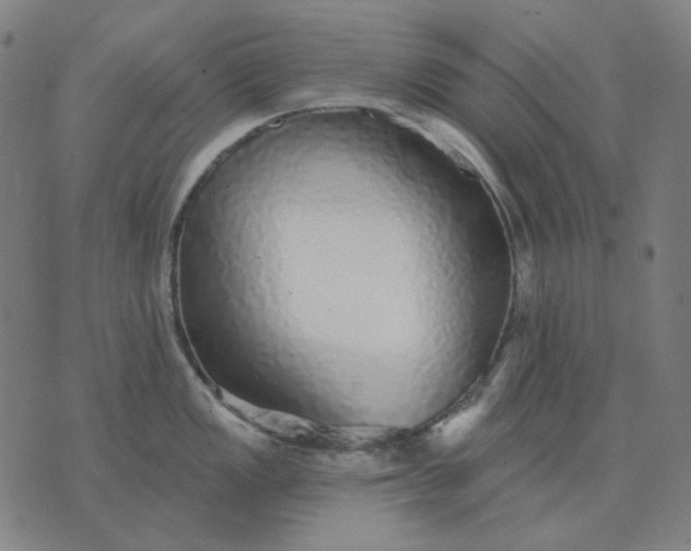 X0000076081149200610061609