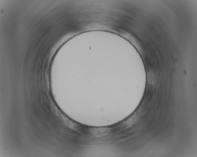 X0000076081150200610061610