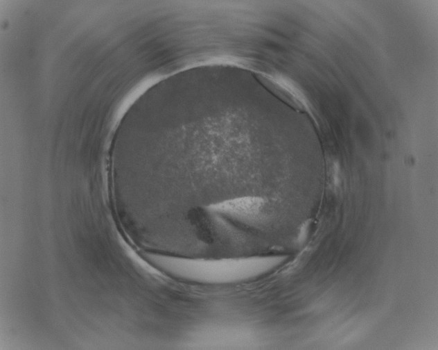 X0000076081151200610061610