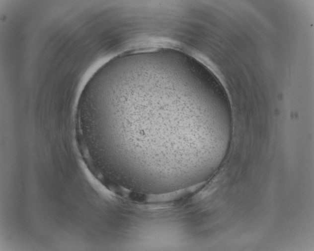 X0000076081152200610061610