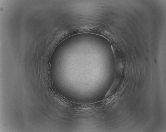 X0000076081153200610061609