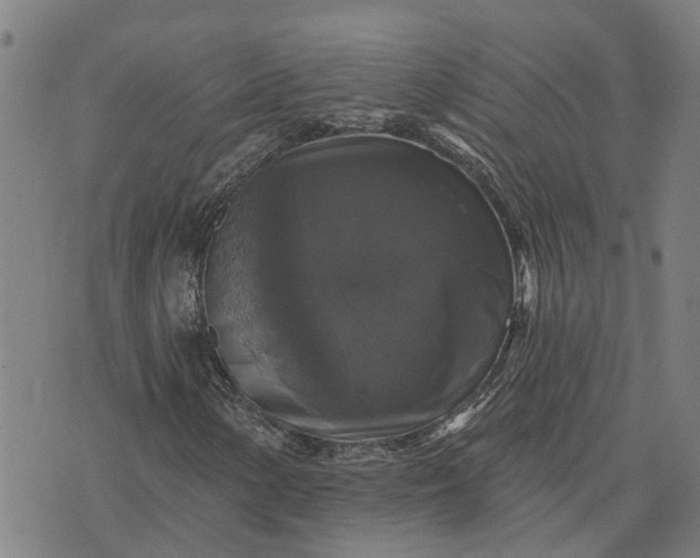 X0000076081154200610061609