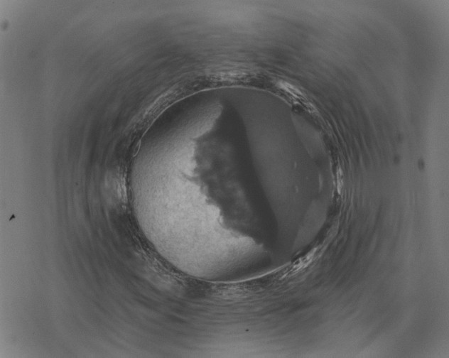 X0000076081155200610061609