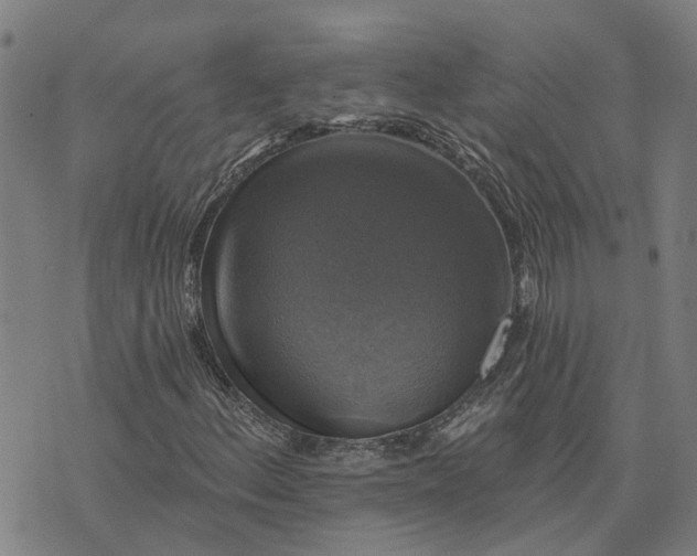 X0000076081156200610061609