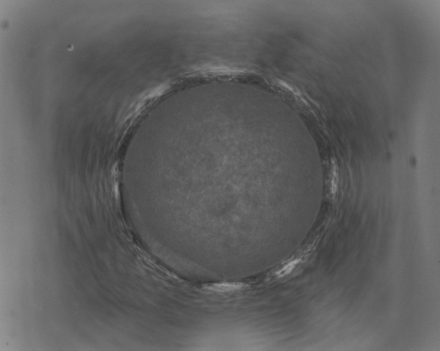 X0000076081157200610061609