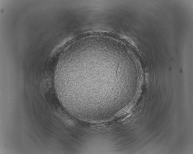 X0000076081159200610061609