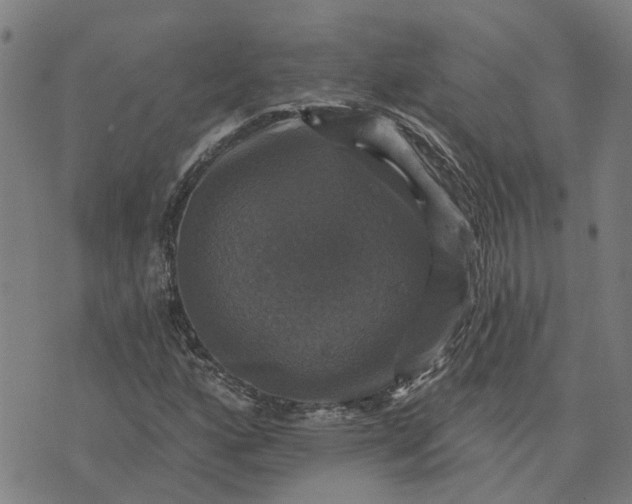 X0000076081160200610061609