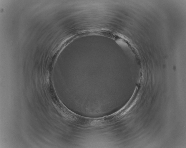 X0000076081161200610061609