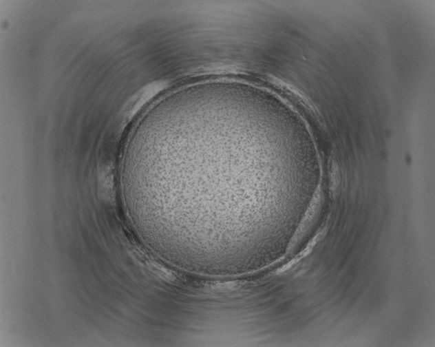 X0000076081162200610061609