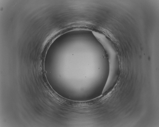 X0000076081164200610061609