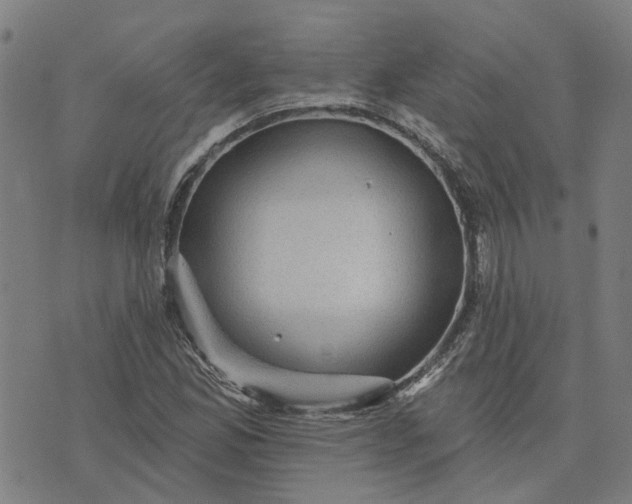 X0000076081165200610061609