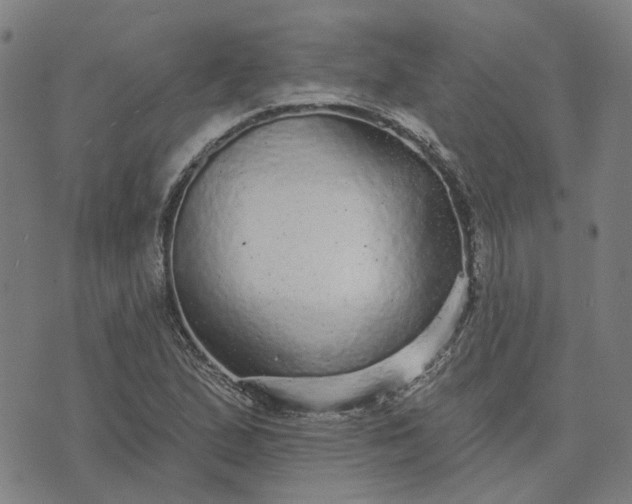 X0000076081167200610061609