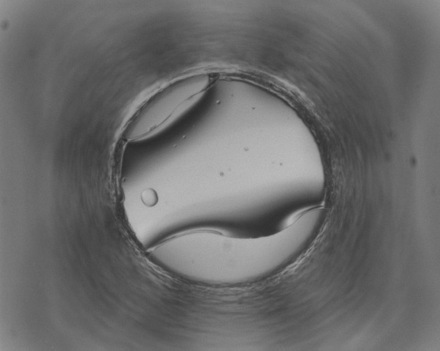 X0000076081168200610061609